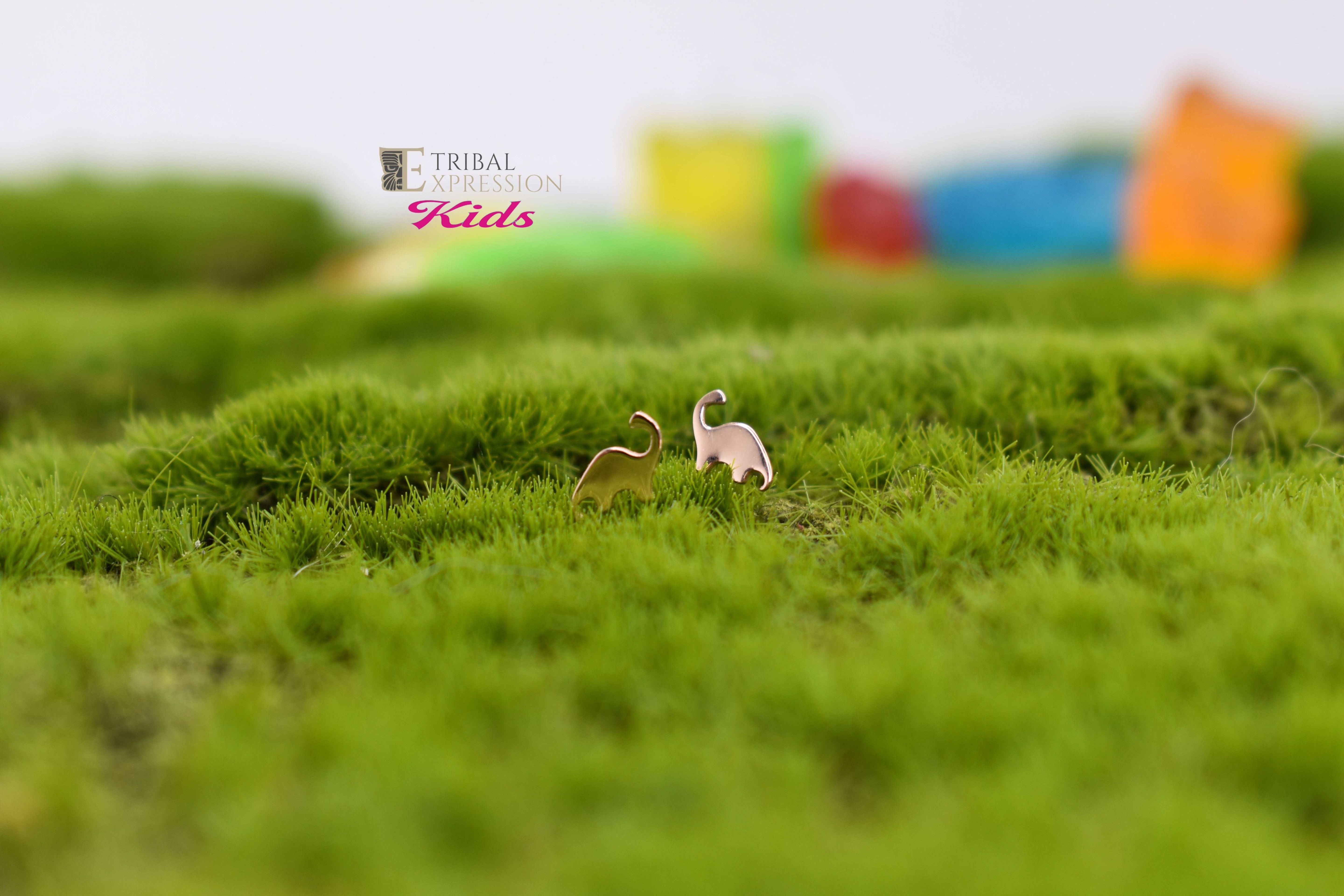 solid 14kt gold threadless shapes