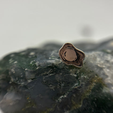 *NEW* Silver brunch collection- for  healed piercings !