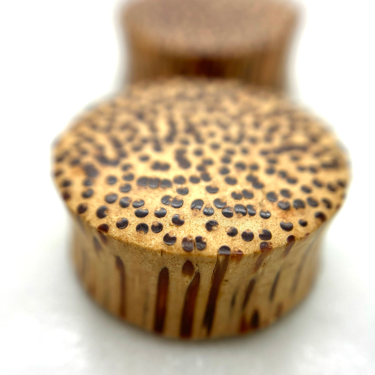 Wood plugs with a speckled golden-brown grain