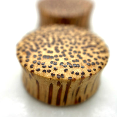 Wood plugs with a speckled golden-brown grain