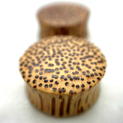 Wood plugs with a speckled golden-brown grain