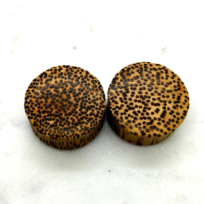 Wood plugs with a speckled golden-brown grain