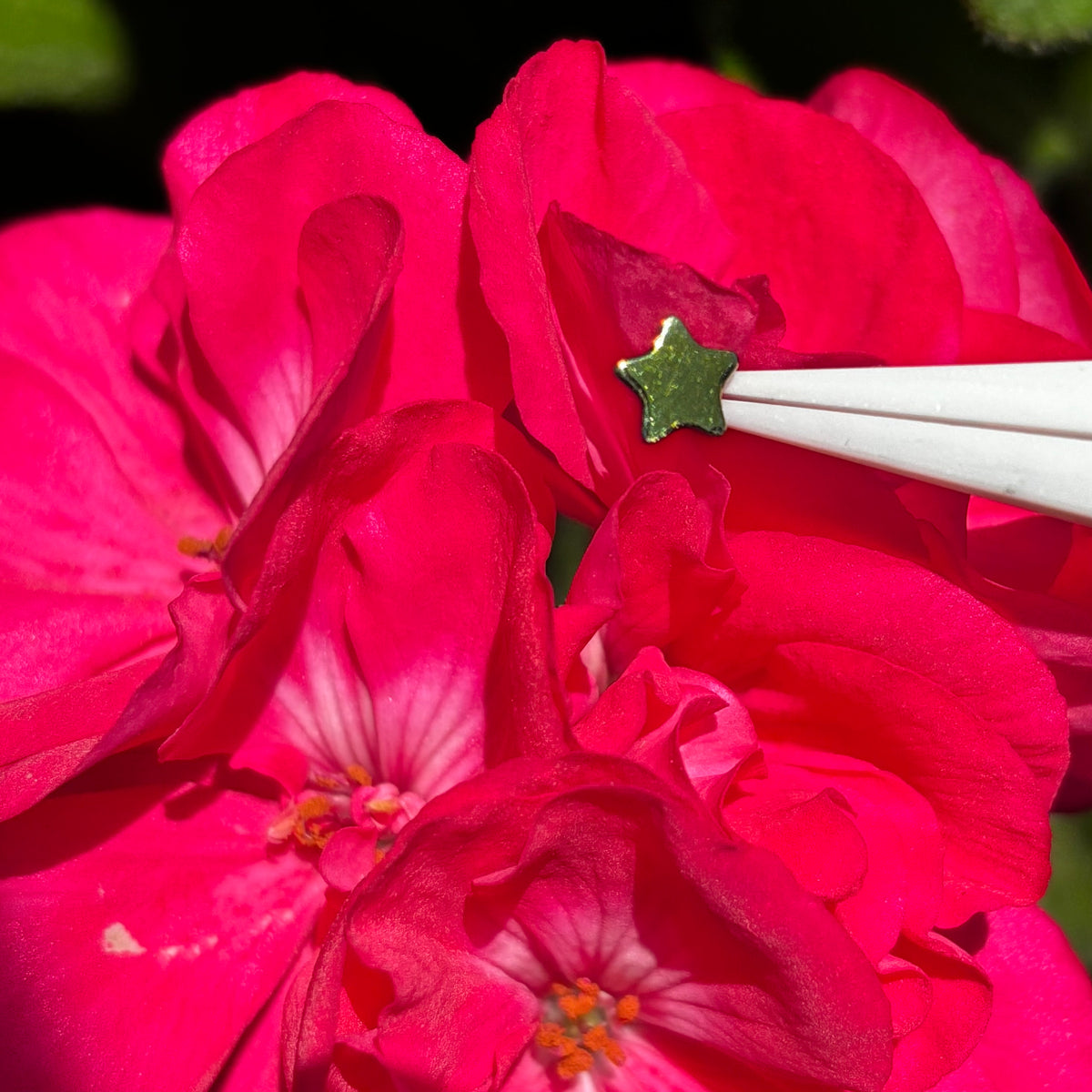 Green titanium star end held with tweezers against pink flowers