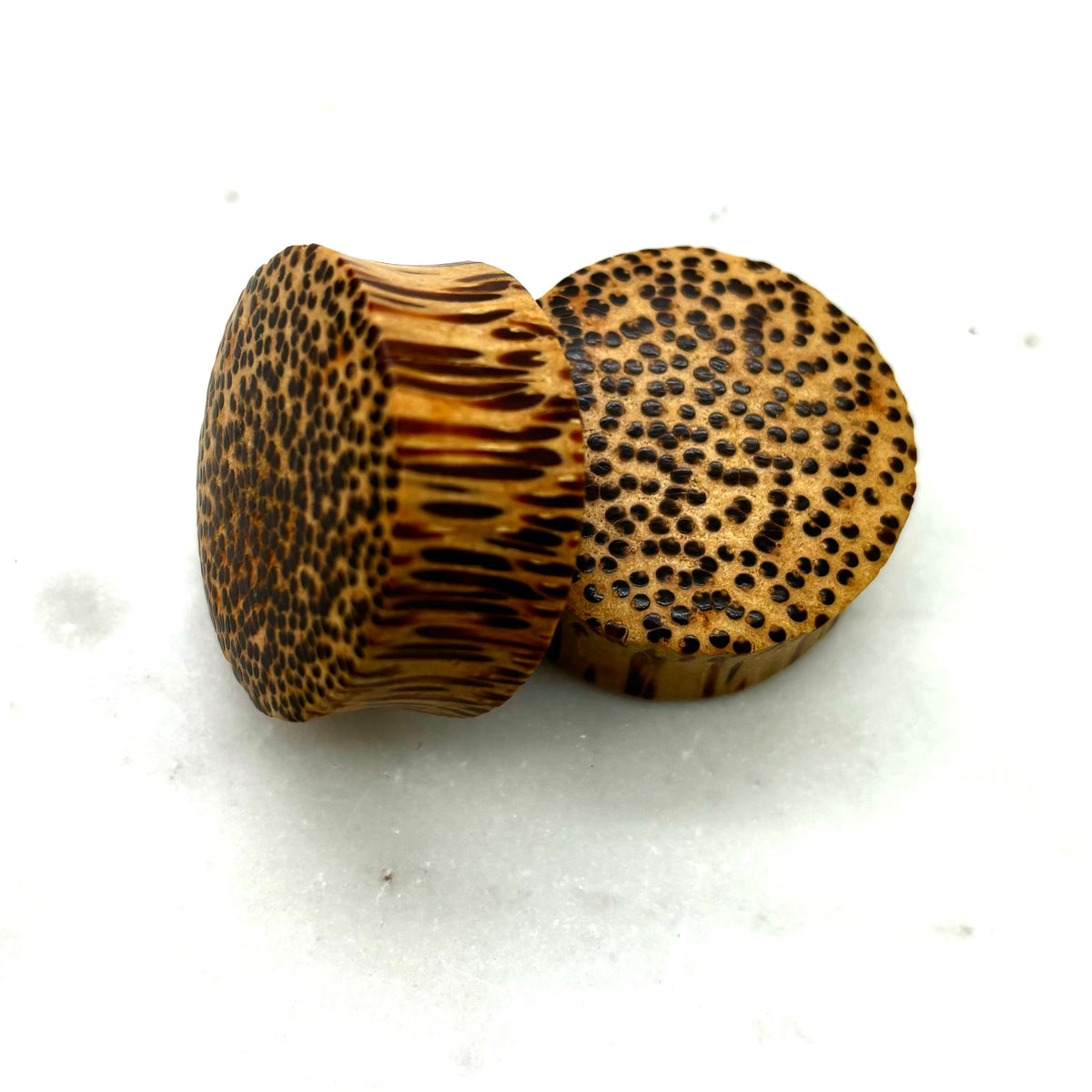 Wood plugs with a speckled golden-brown grain