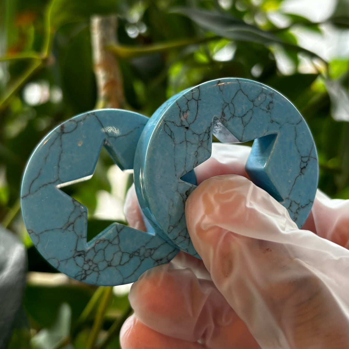 Blue synthetic turquoise star-cutout plugs held against foliage