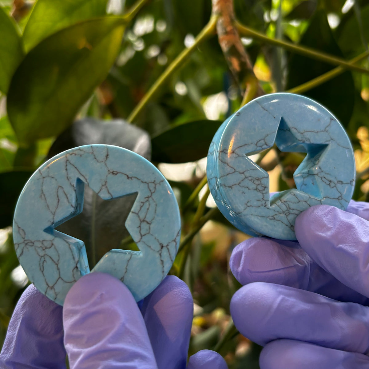 Blue synthetic turquoise star-cutout plugs held against foliage