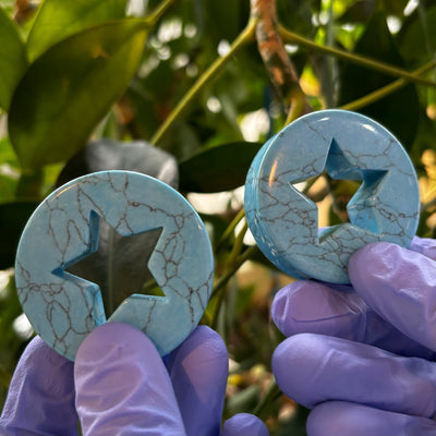 Blue synthetic turquoise star-cutout plugs held against foliage