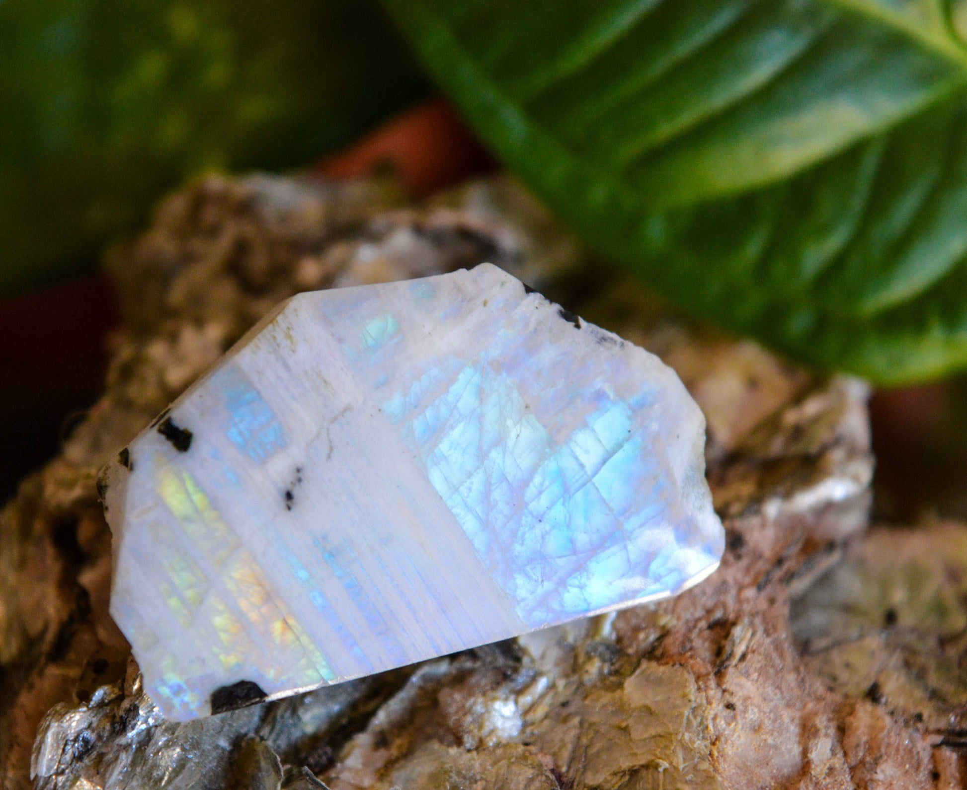 Raw Blue moonstone 