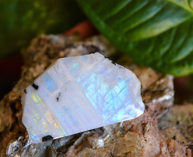 Raw Blue moonstone 